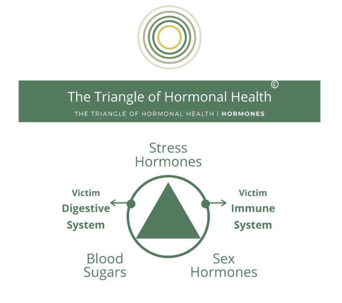 triangle of hormonal health